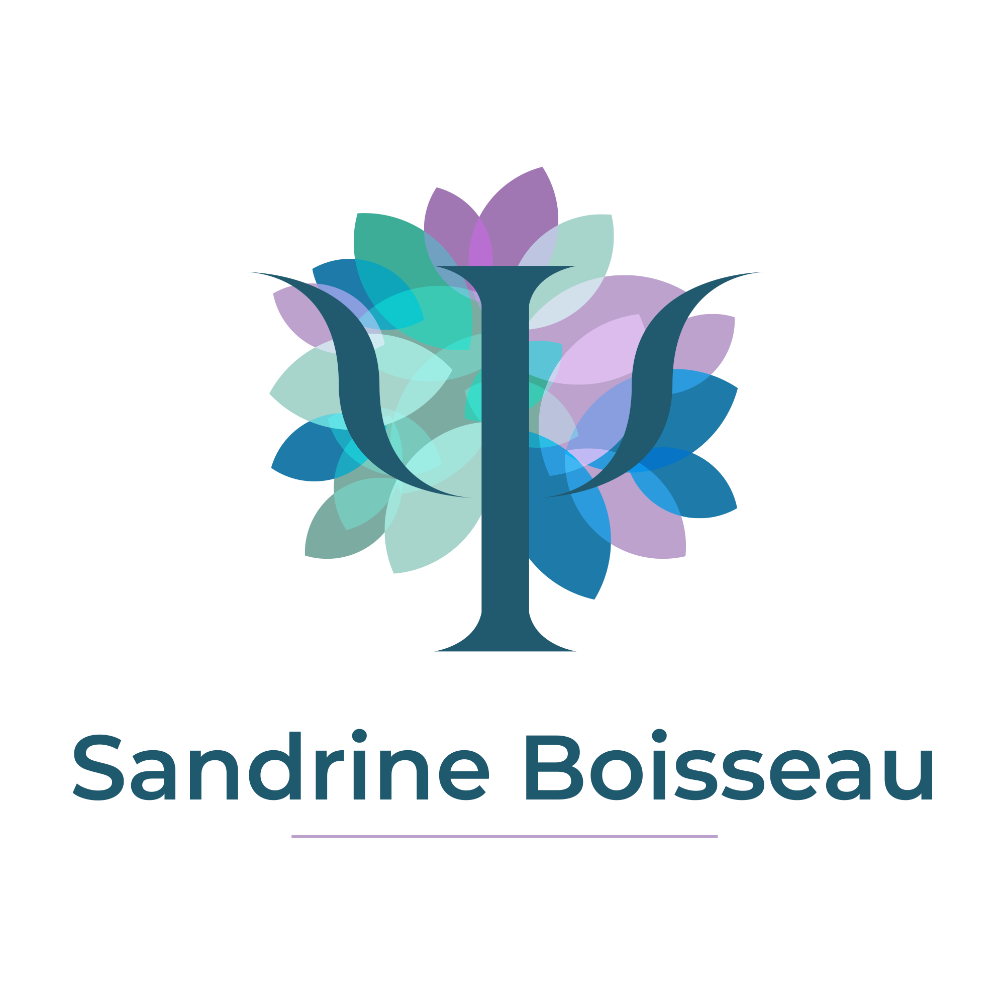 Sandrine Boisseau | Psychothérapeute Durtal